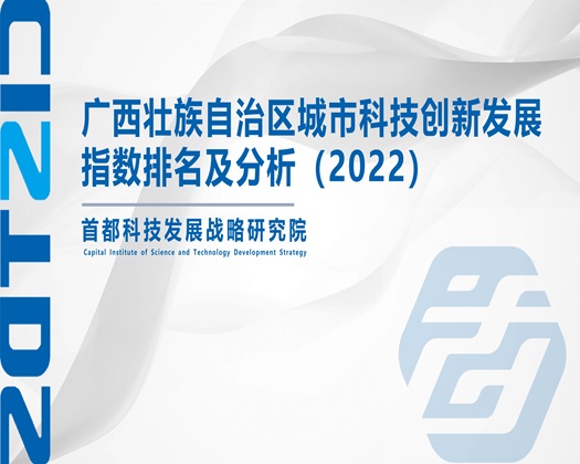 白女人玩鸡吧小视频【成果发布】广西壮族自治区城市科技创新发展指数排名及分析（2022）